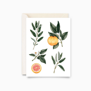 Greeting Card | Sage and Grapefruit